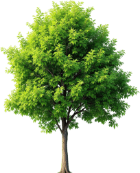 top 10 solar companies in rajasthan